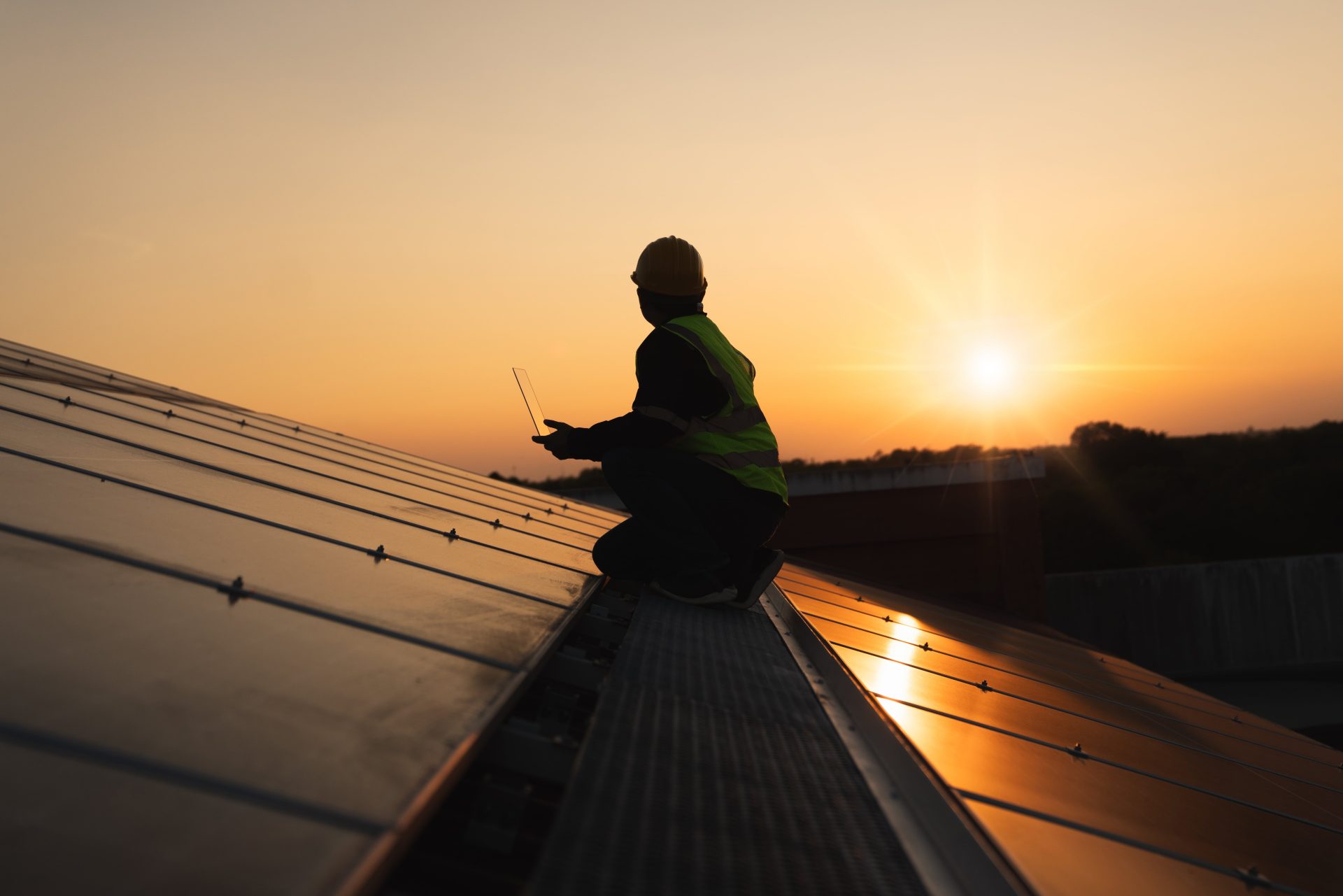 shutterstock_2419344449-min